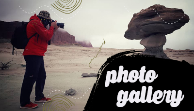 Meet Ischigualasto Park