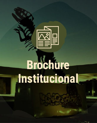 brochure institucional