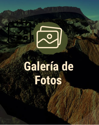 galeria de fotos