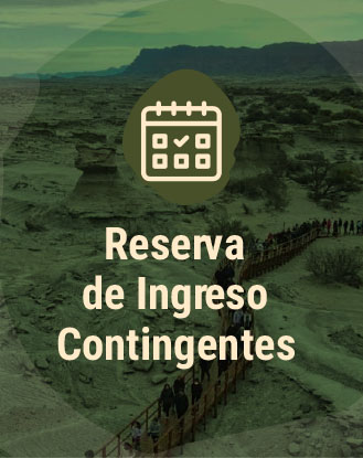 reserva de ingreso contingentes