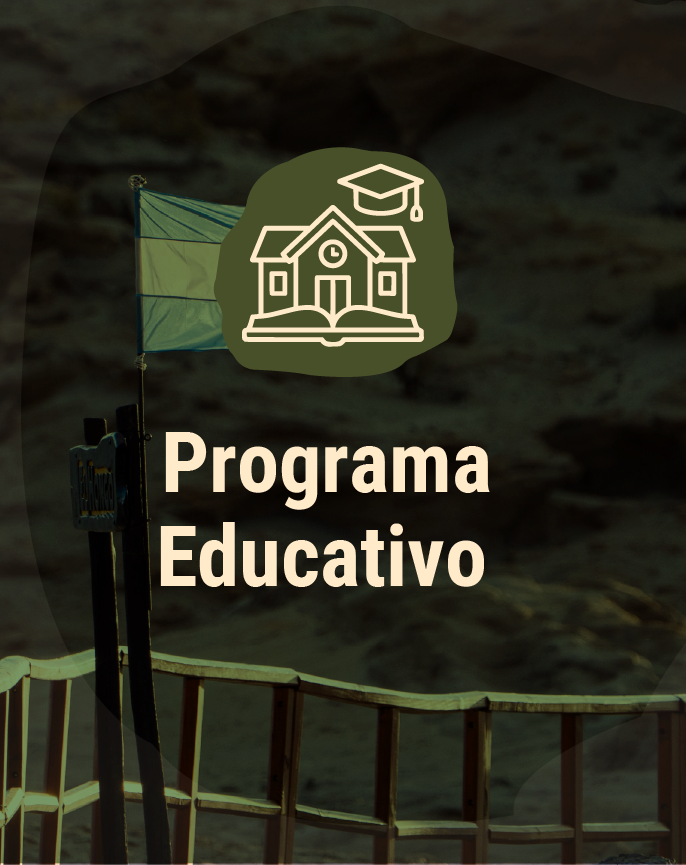 objeto inteligente vectorial